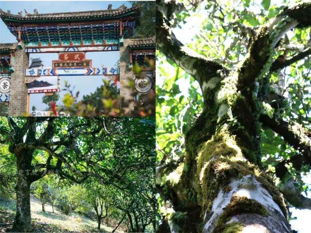 微信图片_20210514142926.jpg