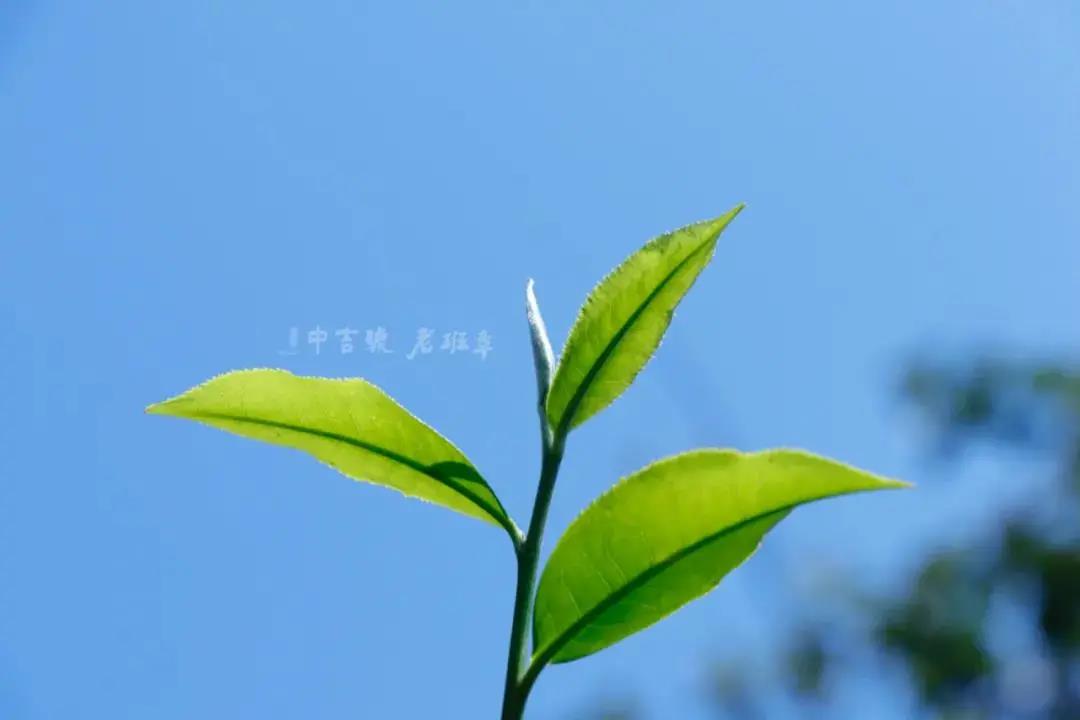 微信图片_20210514142922.jpg