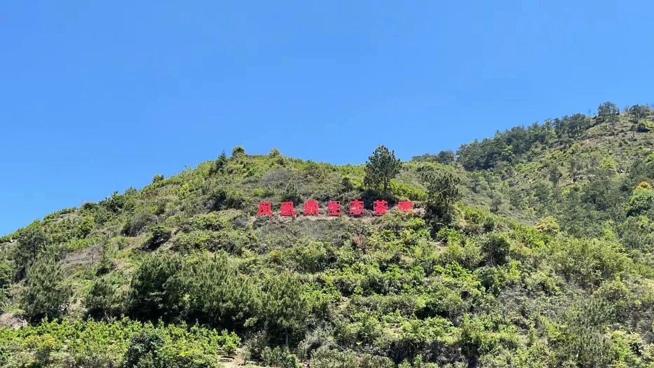 微信图片_20240129164931.jpg