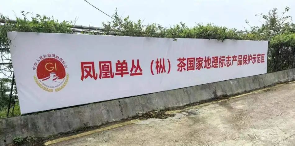 微信图片_20240604104355.jpg 微信图片_20240604104355.jpg