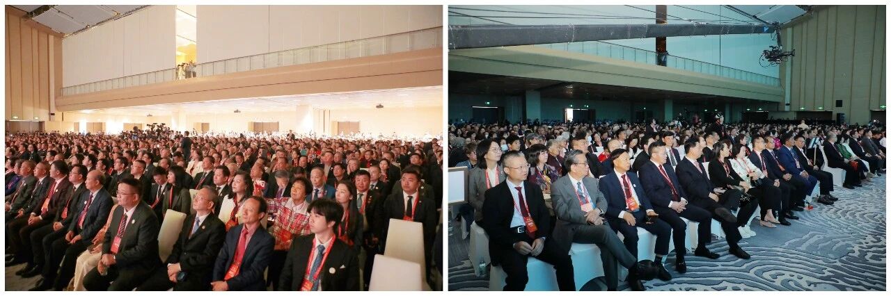 55f0b272e89d9d3bdf0e44d260d82610.jpg 55f0b272e89d9d3bdf0e44d260d82610.jpg